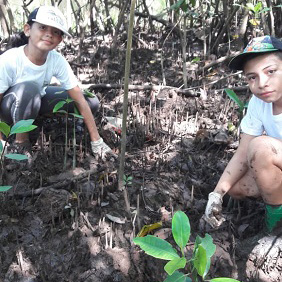 gestion_ambiental