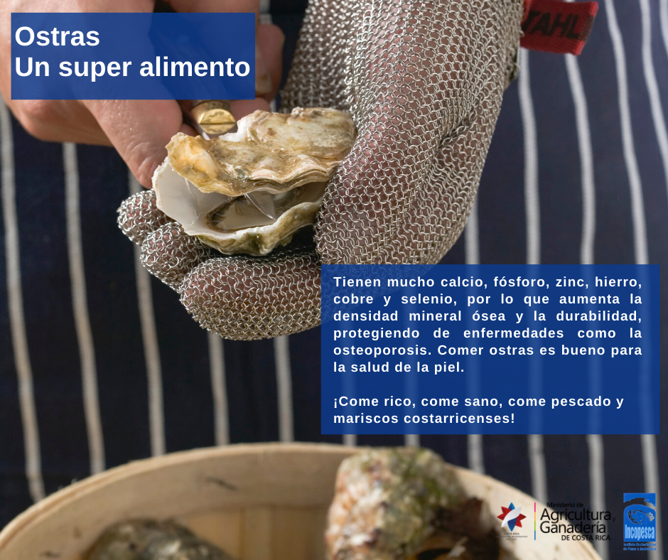 beneficios_nutricionales_ostras3.png